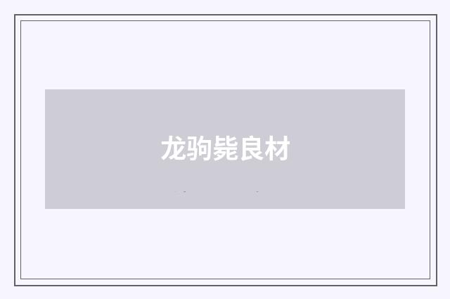 龙驹毙良材