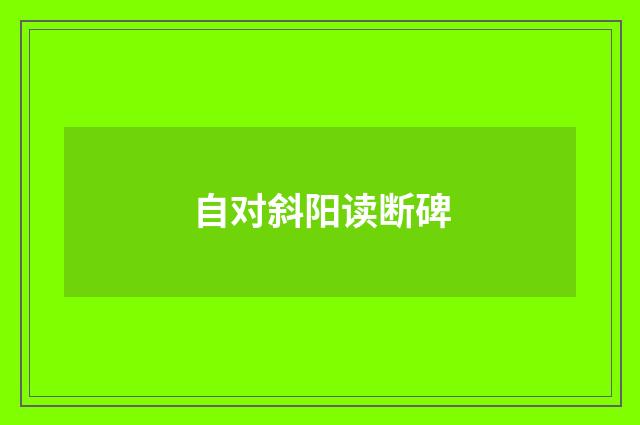 自对斜阳读断碑
