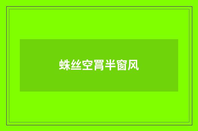 蛛丝空罥半窗风