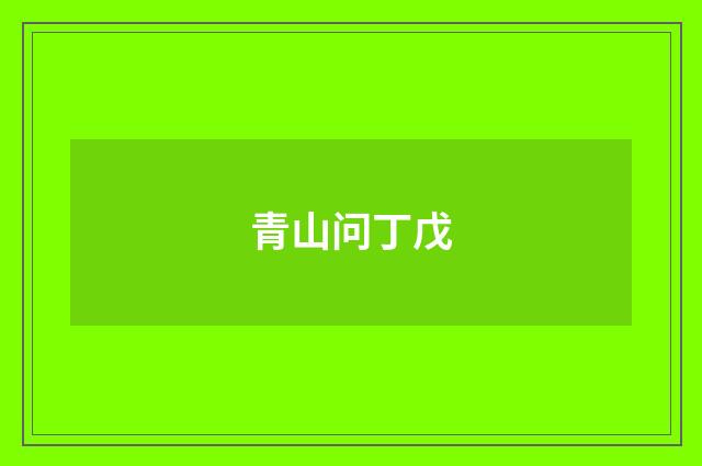 青山问丁戊