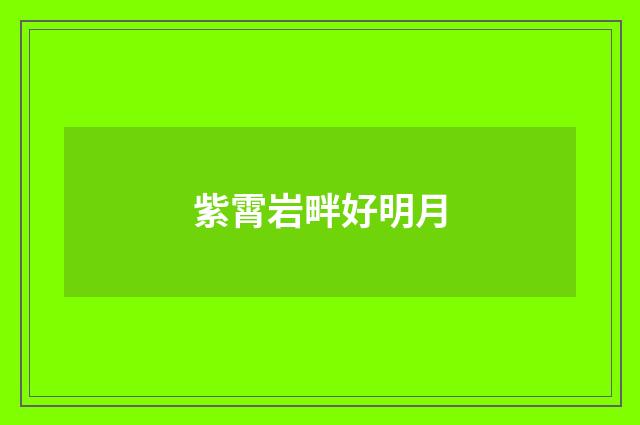 紫霄岩畔好明月