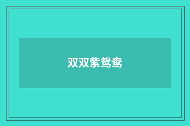 双双紫鸳鸯