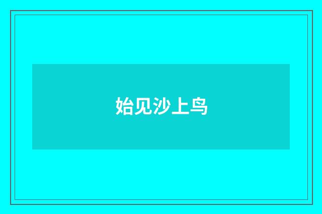 始见沙上鸟