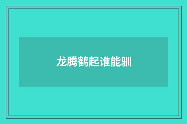 龙腾鹤起谁能驯