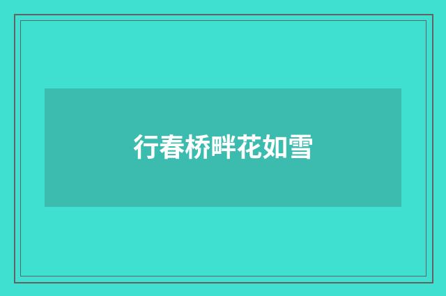 行春桥畔花如雪