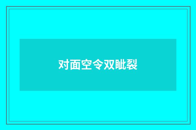 对面空令双眦裂