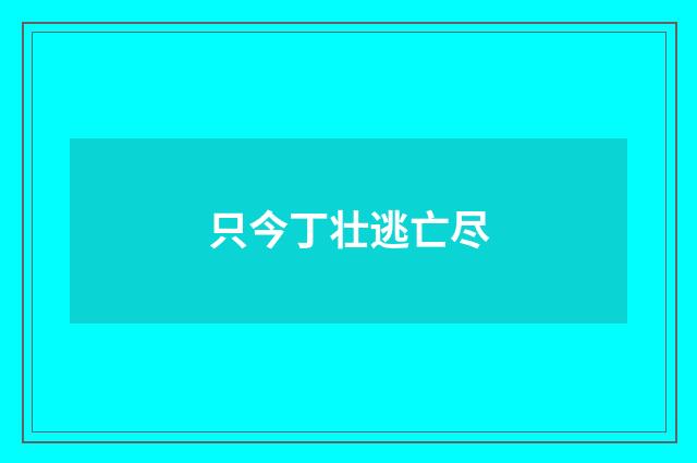 只今丁壮逃亡尽