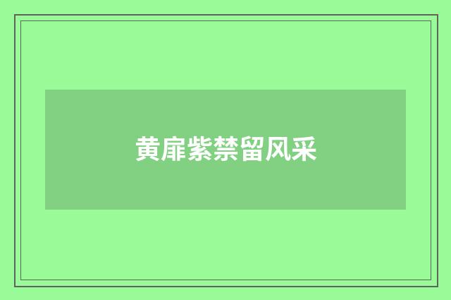 黄扉紫禁留风采
