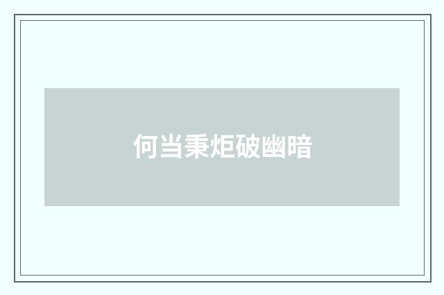何当秉炬破幽暗
