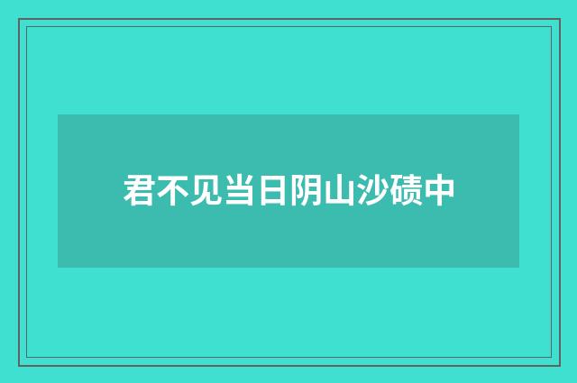 君不见当日阴山沙碛中