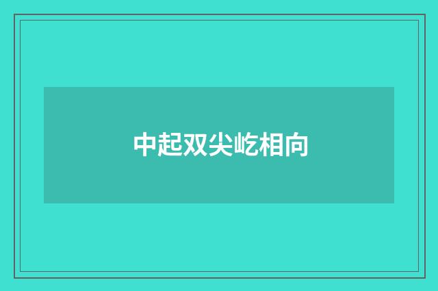 中起双尖屹相向