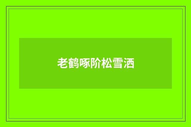 老鹤啄阶松雪洒