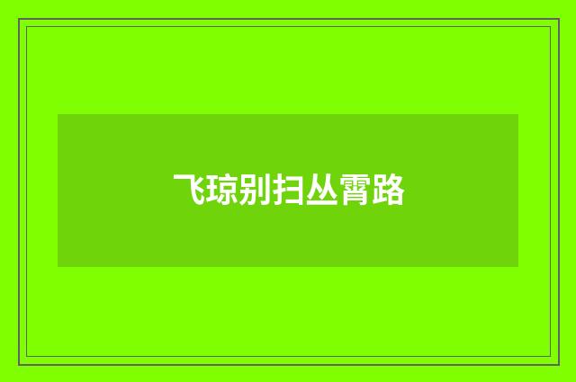 飞琼别扫丛霄路