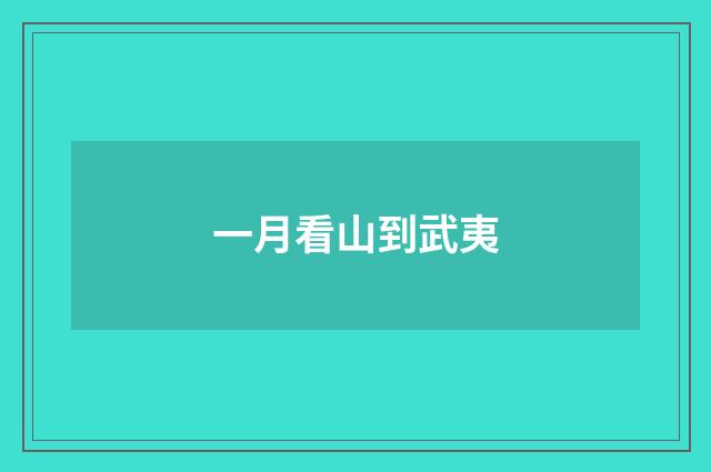 一月看山到武夷