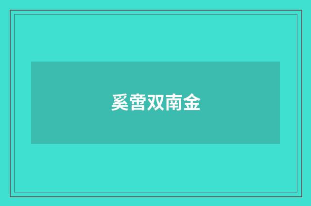 奚啻双南金