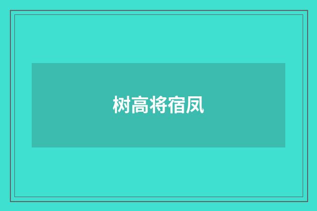 树高将宿凤