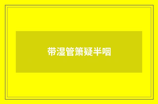 带湿管箫疑半咽