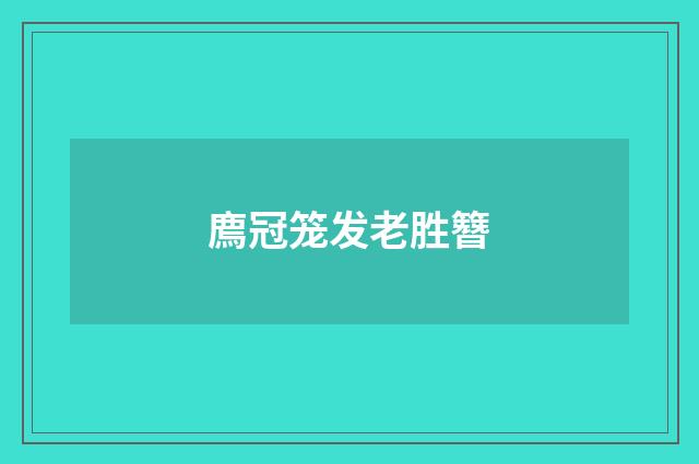 廌冠笼发老胜簪