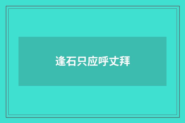 逢石只应呼丈拜