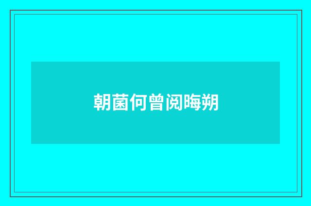 朝菌何曾阅晦朔