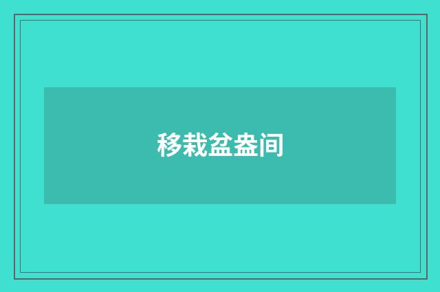 移栽盆盎间