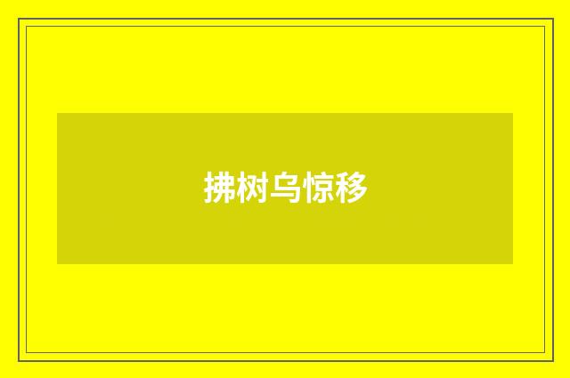 拂树乌惊移