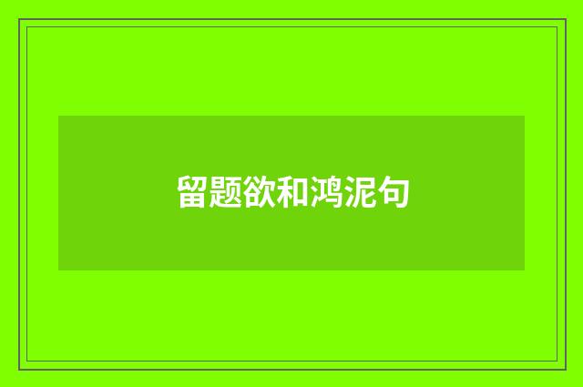 留题欲和鸿泥句