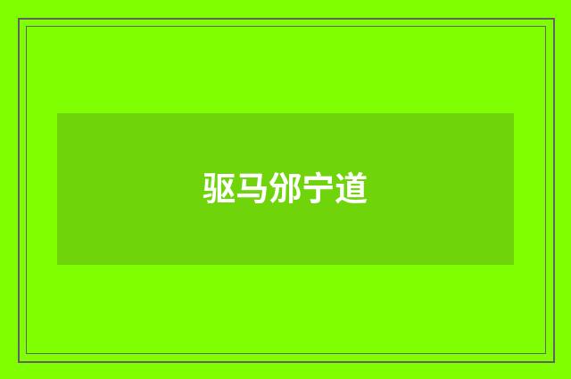 驱马邠宁道