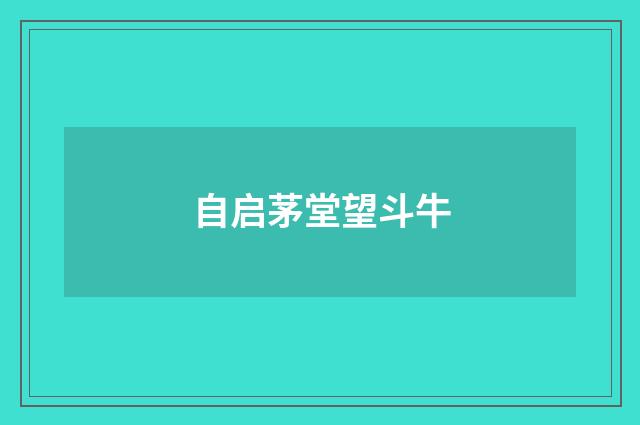 自启茅堂望斗牛