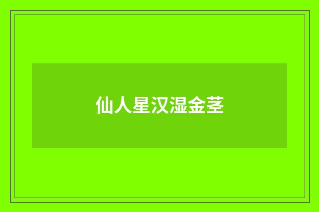 仙人星汉湿金茎