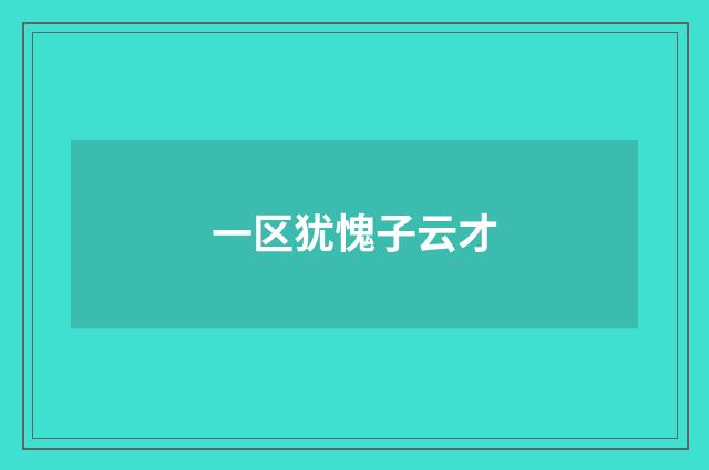 一区犹愧子云才