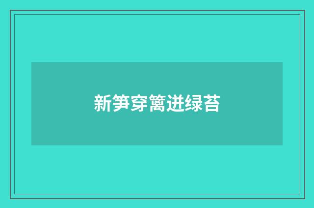 新笋穿篱迸绿苔