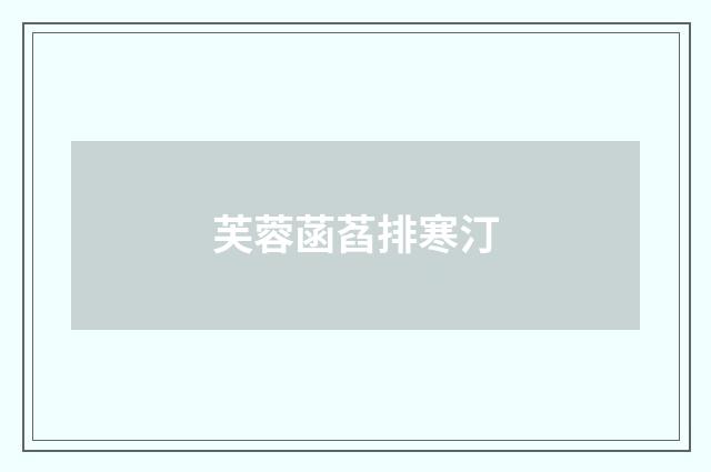 芙蓉菡萏排寒汀