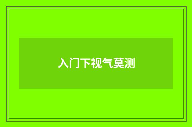 入门下视气莫测