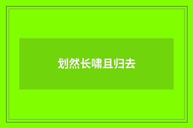 划然长啸且归去