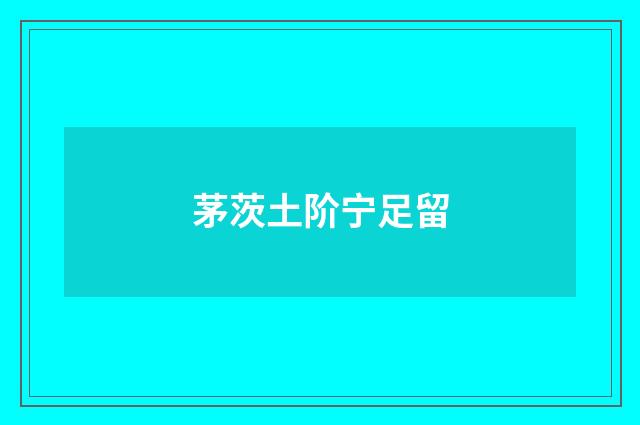 茅茨土阶宁足留