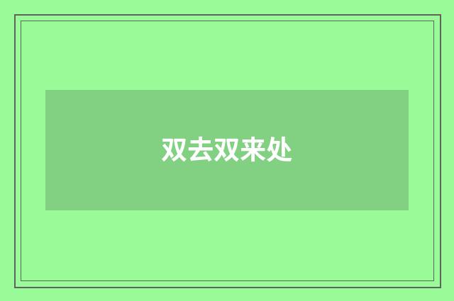 双去双来处