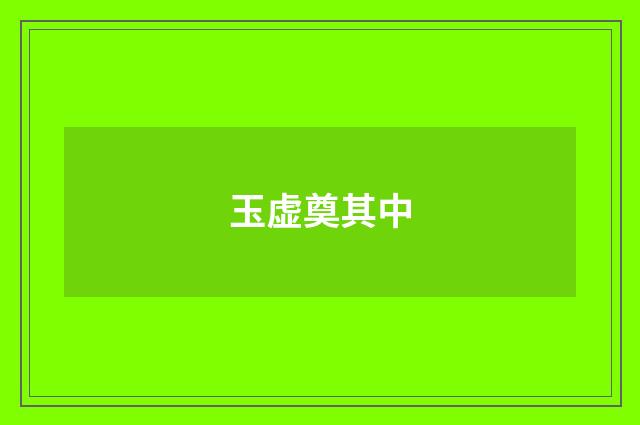 玉虚奠其中