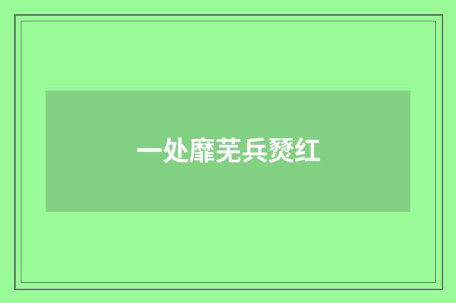 一处靡芜兵燹红