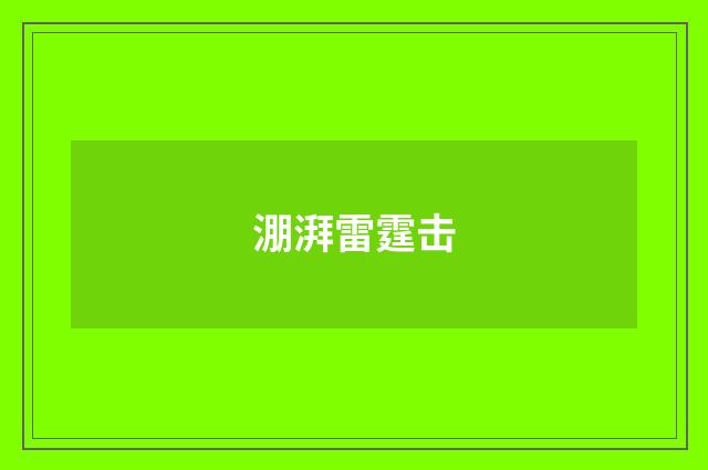 淜湃雷霆击