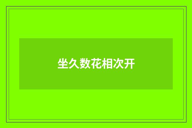 坐久数花相次开