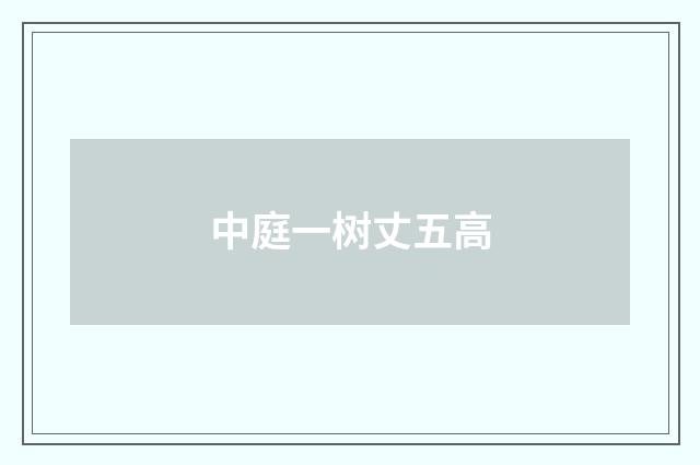 中庭一树丈五高
