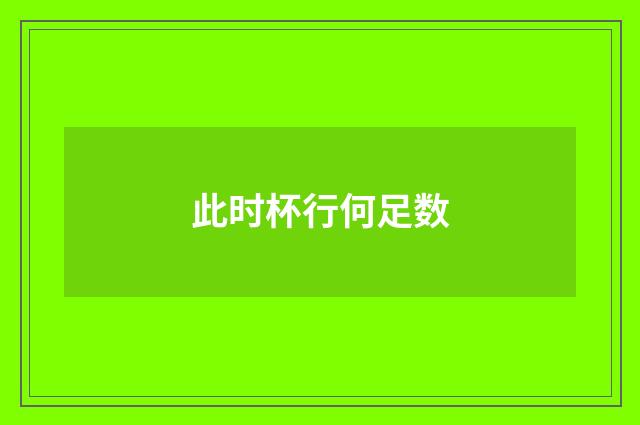 此时杯行何足数