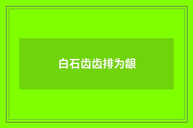 白石齿齿排为龈