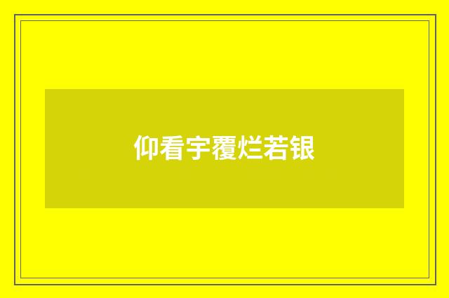 仰看宇覆烂若银