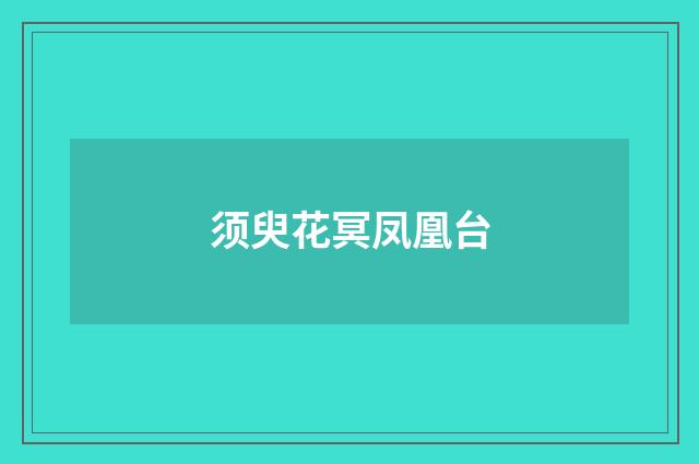 须臾花冥凤凰台