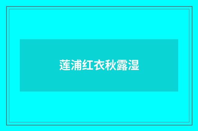 莲浦红衣秋露湿