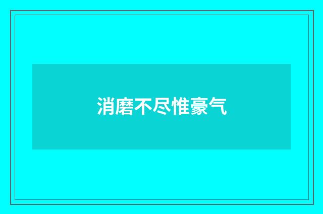 消磨不尽惟豪气