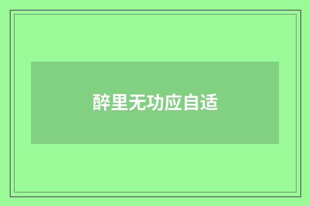 醉里无功应自适