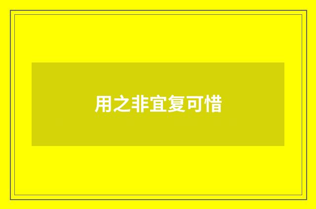 用之非宜复可惜